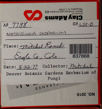 Image Associated With the Occurence